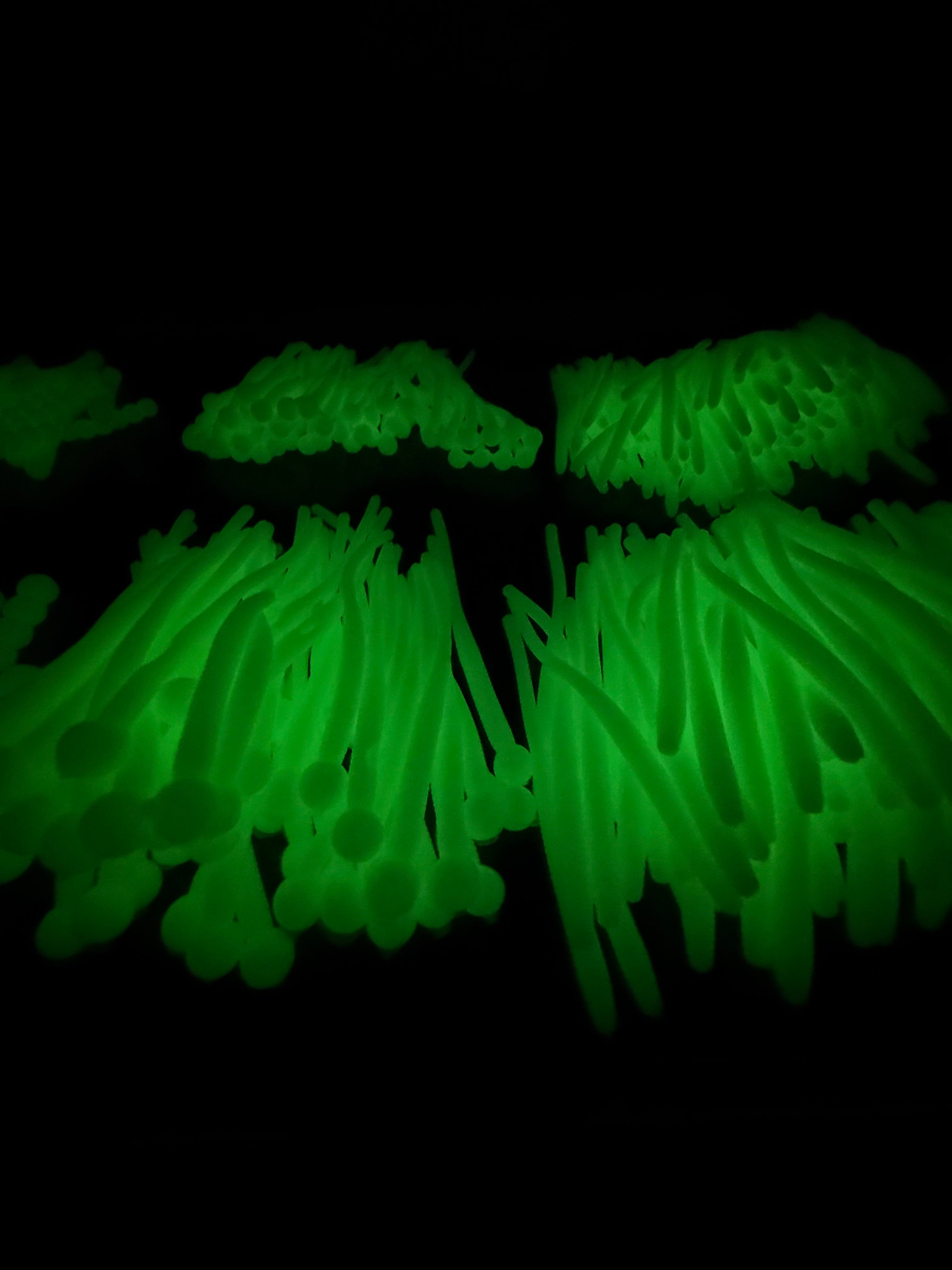 Super Floating Trout Worm with Egg: Pure Glow
