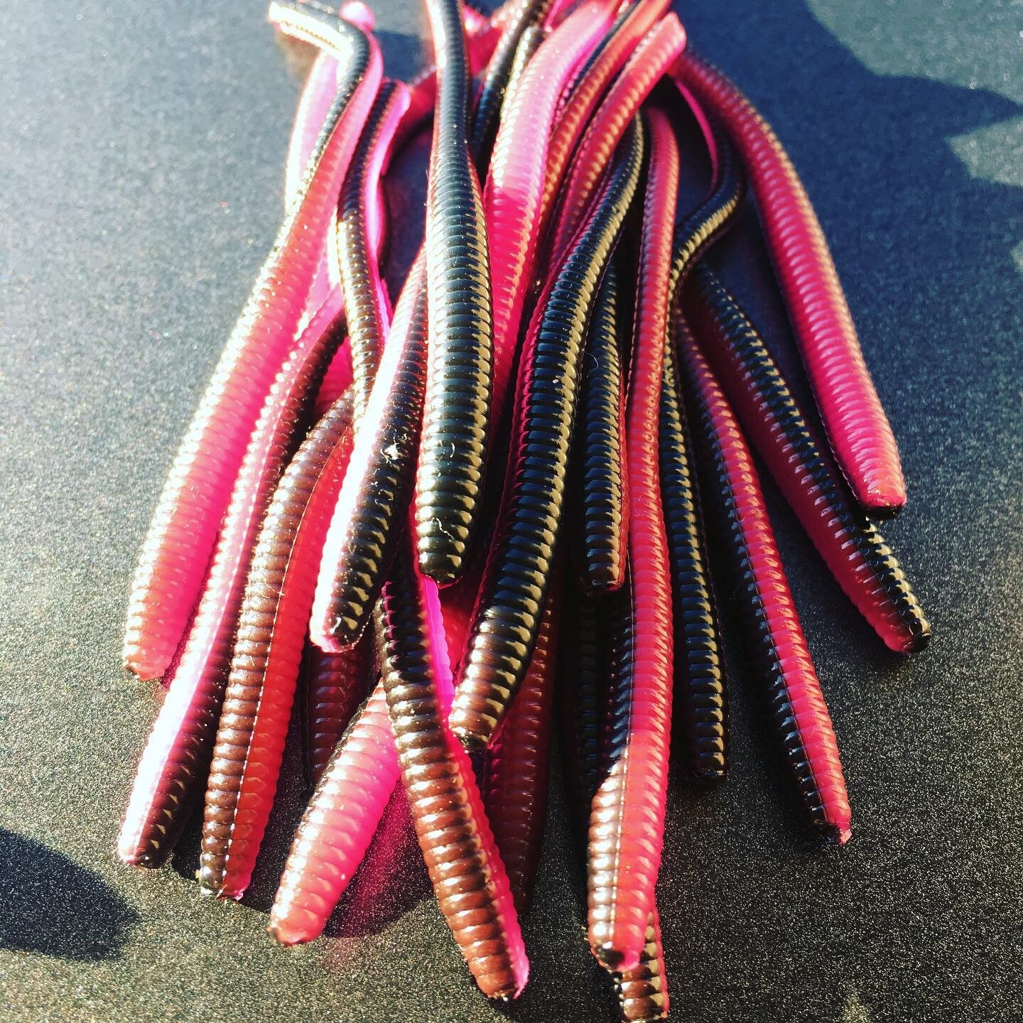 Trout Worms: Hot Pink Leech – Peter's Custom Trout Worms